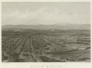 Stad van Mexico
